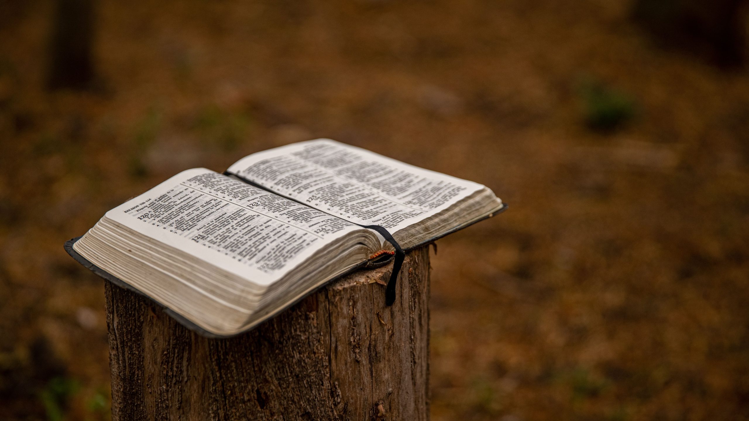 Open Bible