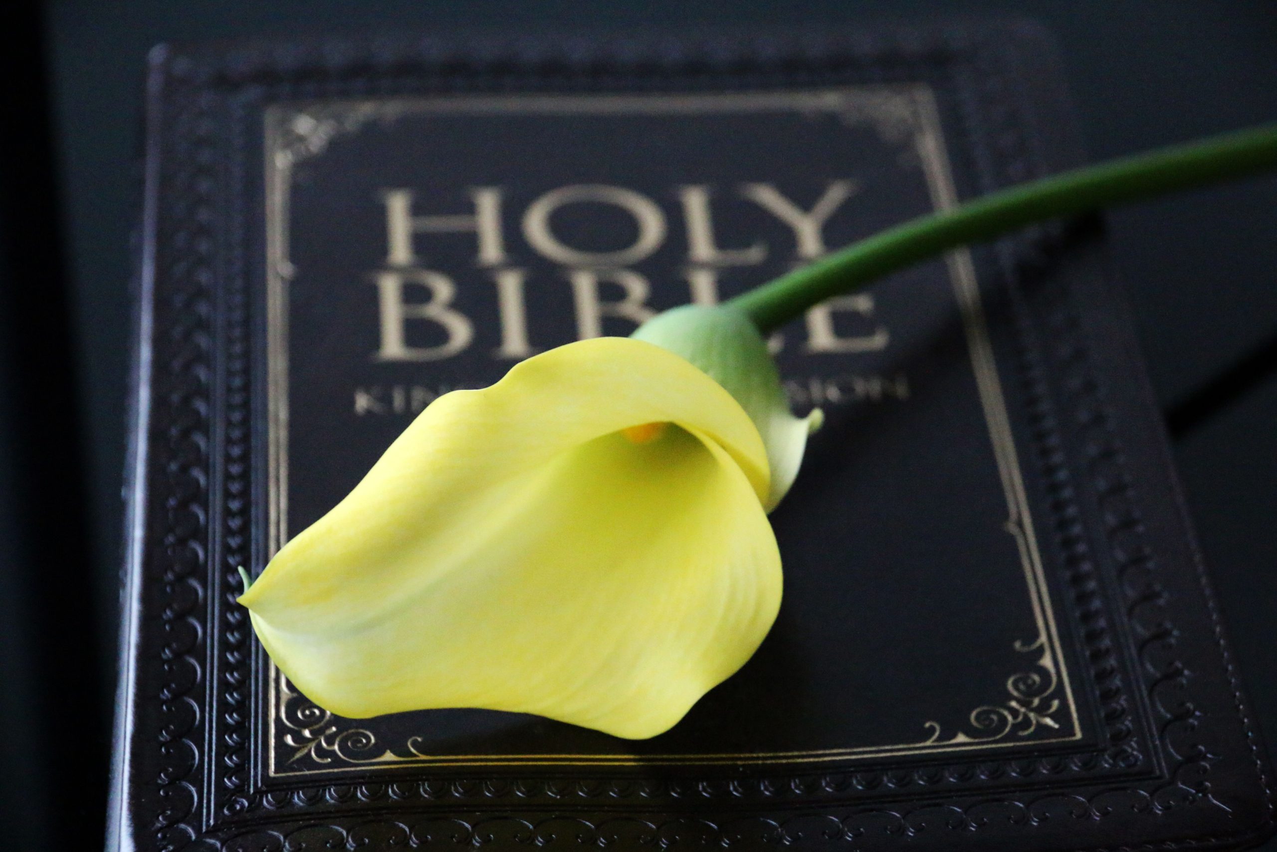 Devoted Disciples